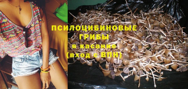 скорость Новозыбков