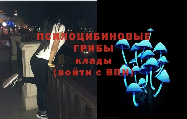 трава Новокубанск