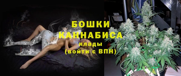 скорость Новозыбков