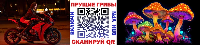 Псилоцибиновые грибы мухоморы  закладка  Ивангород 